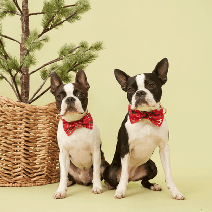 DOG BOW TIE - RED CHECK