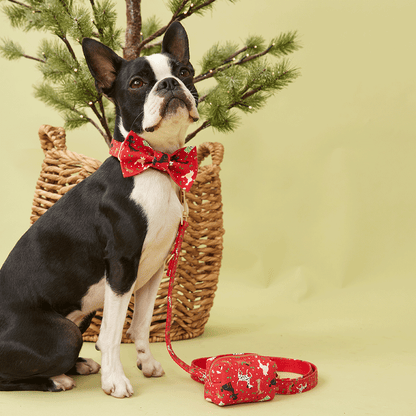DOG BOW TIE - FESTIVE RED PRINT