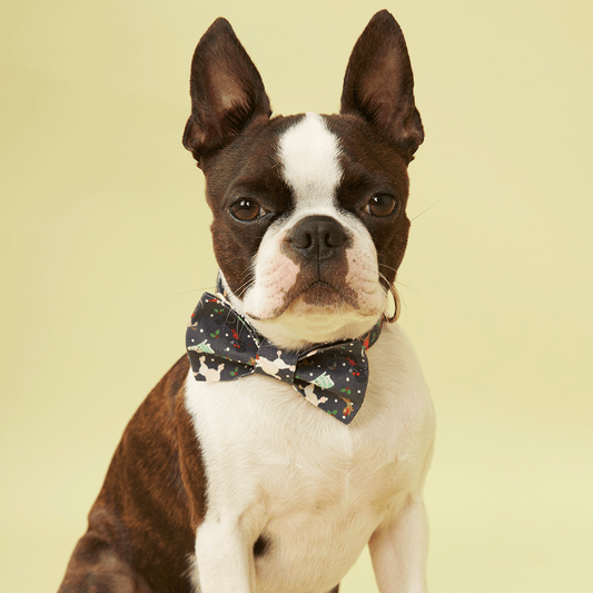 DOG BOW TIE - FESTIVE NAVY PRINT