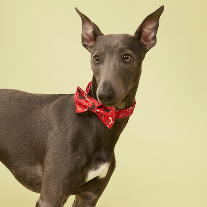 DOG BOW TIE - FESTIVE RED PRINT
