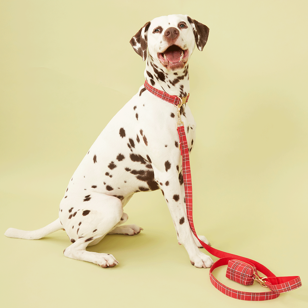 DOG COLLAR - RED CHECK