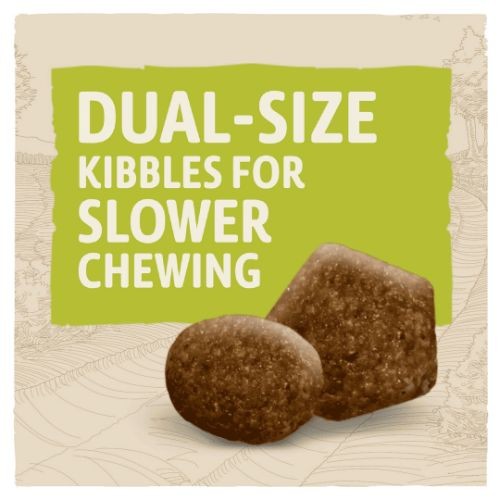 Beta Adult Dry Dog Food with Chicken 14kg