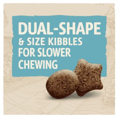 Beta Dry Puppy Large Breed Food with Turkey 14kg