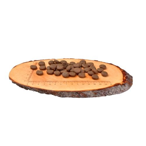 Carnilove Salmon & Turkey Large Breed Adult Dry Dog Food 12kg