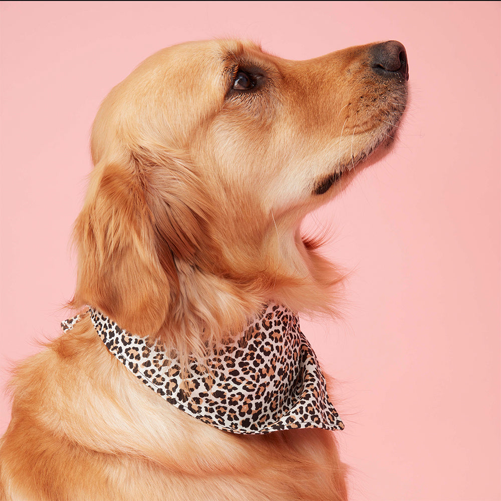 DOG BANDANA - ANIMAL