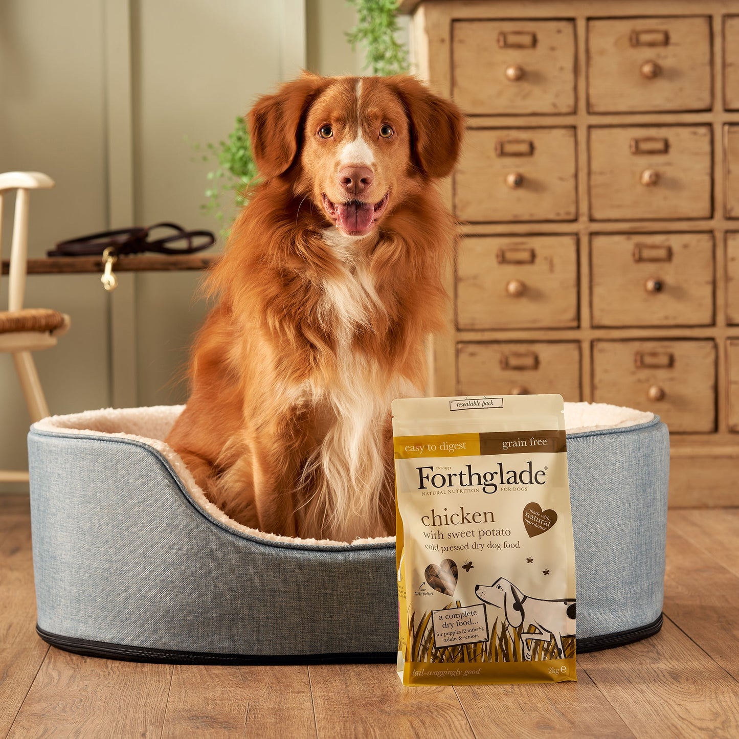 Chicken Cold Pressed Natural Grain Free Dry Dog Food