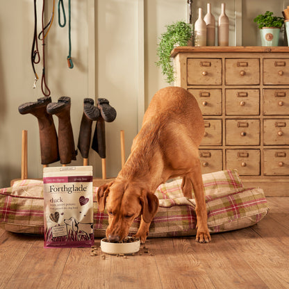 Duck Grain Free Cold Pressed Natural Dry Dog Food