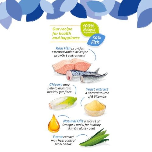 HiLife It's Only Natural Grain Free Cat Pouches The Fishy One in Jelly 8 x 70g