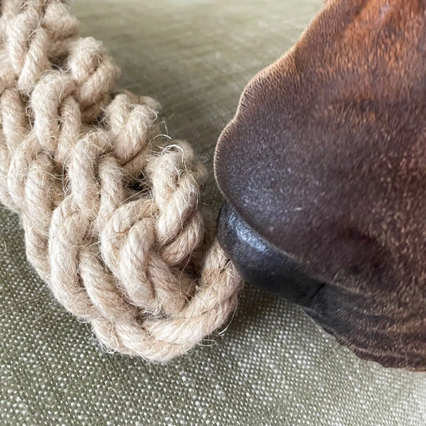 Baker the Eco Chew Toy