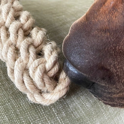 Baker the Eco Chew Toy