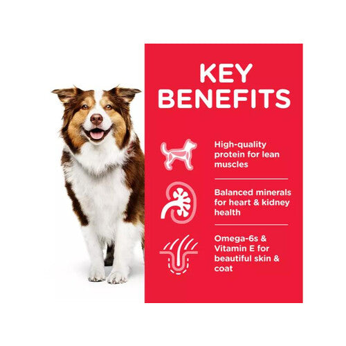 Hill's Science Plan Mature Adult Medium Dry Dog Chicken 2.5kg