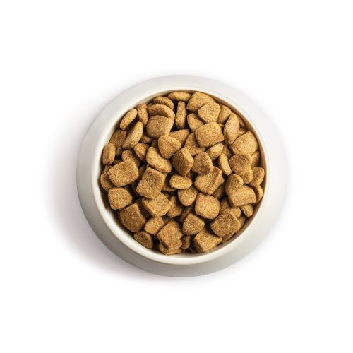 Chappie Dry with Chicken & Whole Grain Cereal 15kg