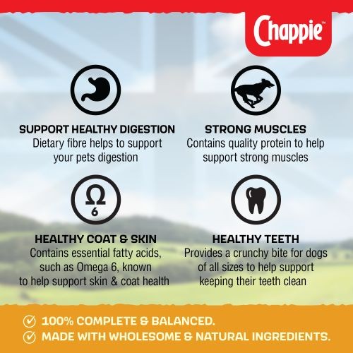 Chappie Dry with Chicken & Whole Grain Cereal 15kg