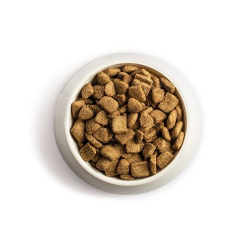 Chappie Dry Dog Food with Beef & Whole Grain Cereal 15kg