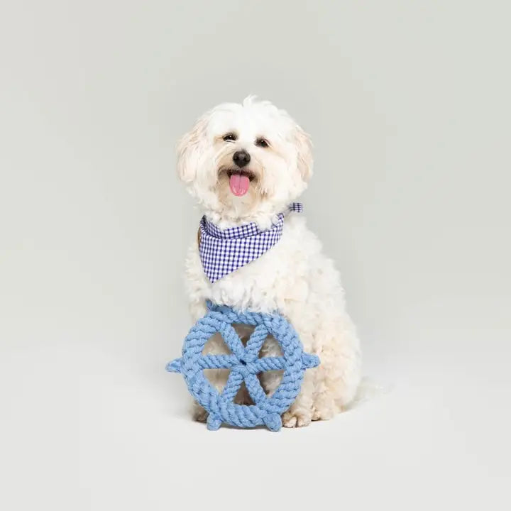 Dog Captain's Wheel Rope Toy