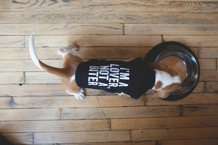 I'm A Lover Not A Biter Pet Tee