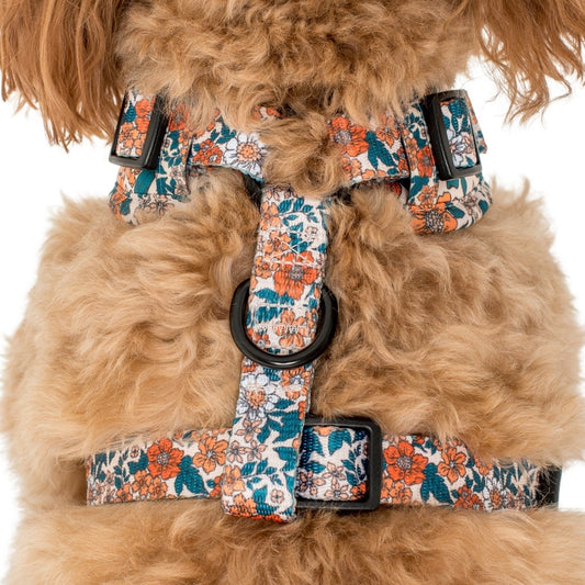 Wildflowers: Adjustable Dog Harness