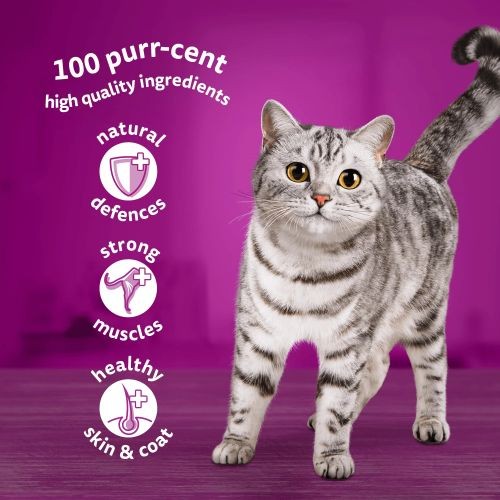 Whiskas Adult 1+ Cat Pouches Fish Selection in Jelly 12 x 85g