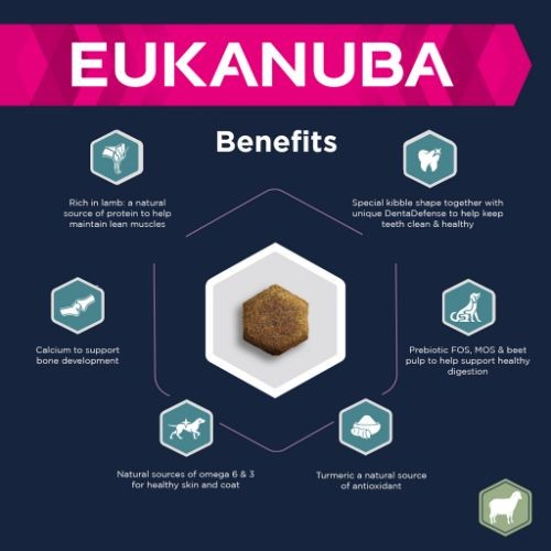 Eukanuba Adult Dry Dog Food with Lamb for Large Breeds 12kg