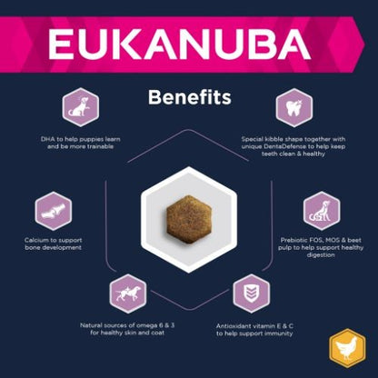 Eukanuba Growing Dry Puppy Food for Medium Breeds with Chicken 12kg