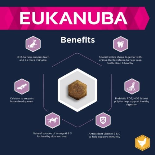 Eukanuba Growing Dry Puppy Food for Medium Breeds with Chicken 12kg