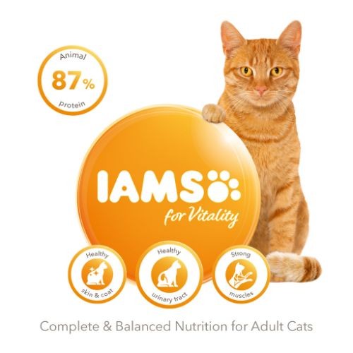 IAMS for Vitality Adult Dry Cat Food with Fresh Chicken 2kg