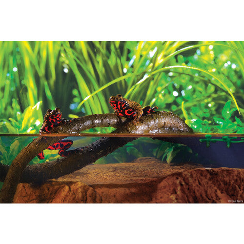 Exo Terra Jungle Vine Large