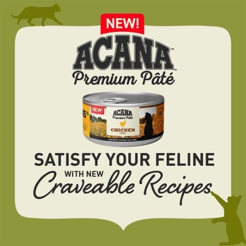 Acana Premium Pate Wet Cat Food with Chicken - 24 x 85g