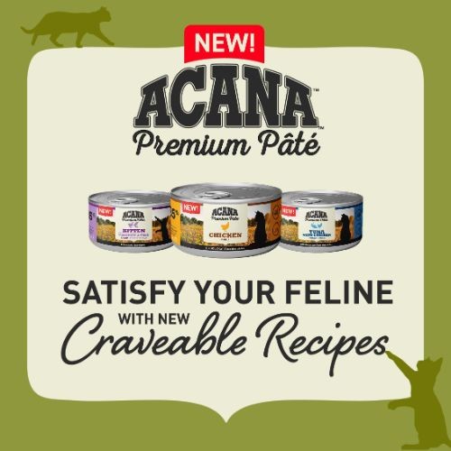Acana Premium Kitten Pate Wet Food Chicken and Fish - 24 x 85g