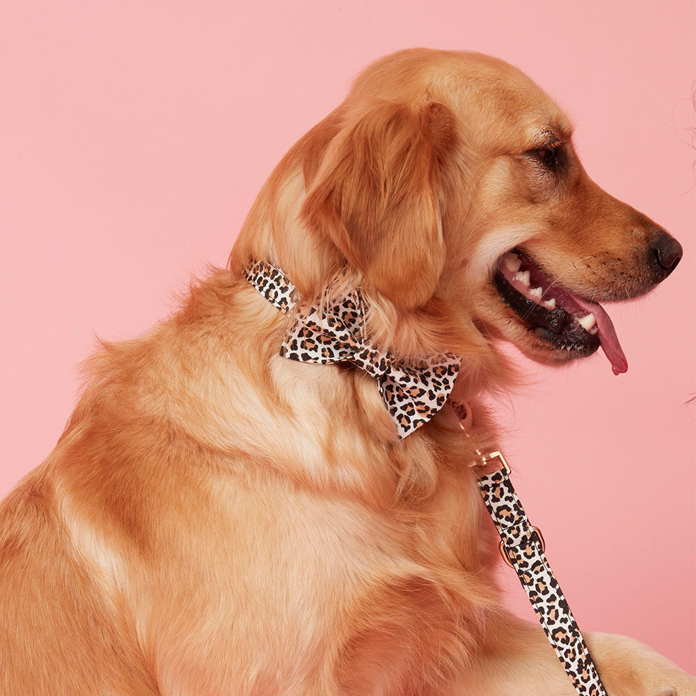 DOG BOW TIE - ANIMAL