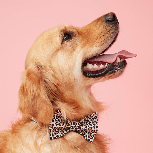 DOG BOW TIE - ANIMAL