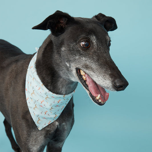 DOG BANDANA - BLUE DOG