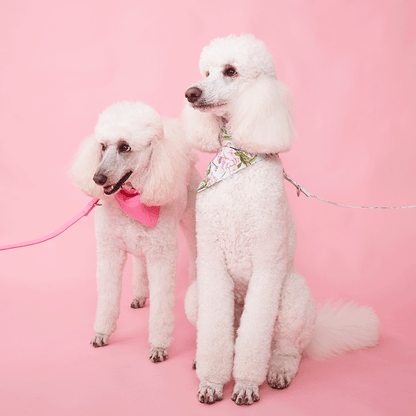 DOG LEAD - AZALEA PINK