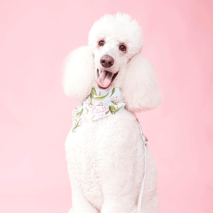 DOG BANDANA -  WATERCOLOUR FLORAL