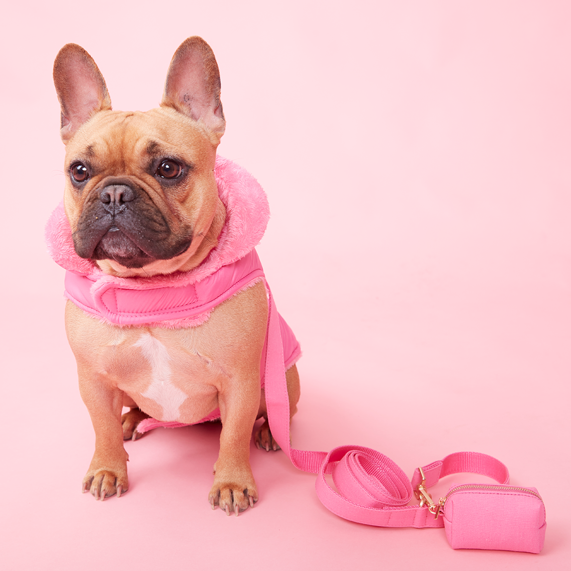 DOG LEAD - AZALEA PINK