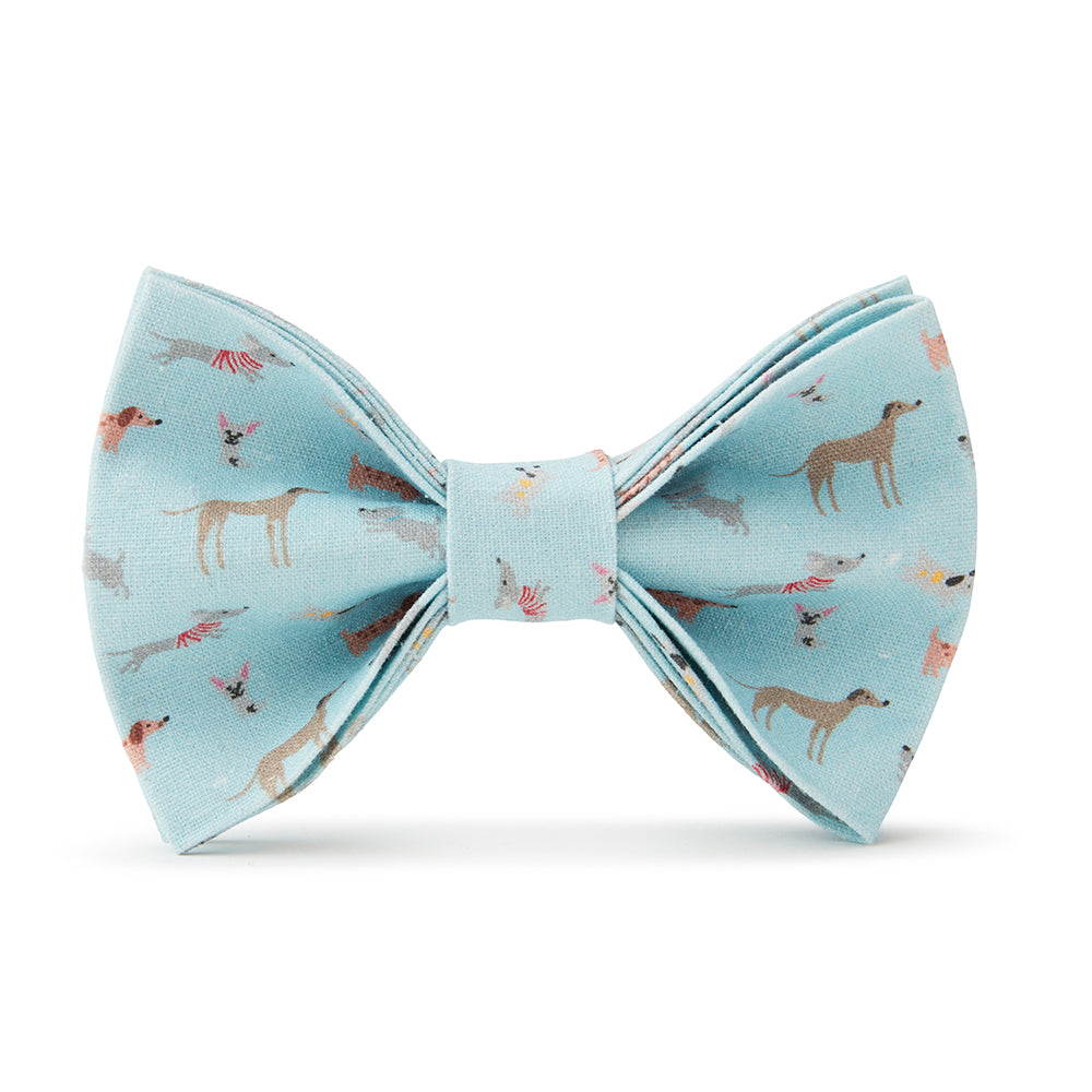 DOG BOW TIE - BLUE DOG