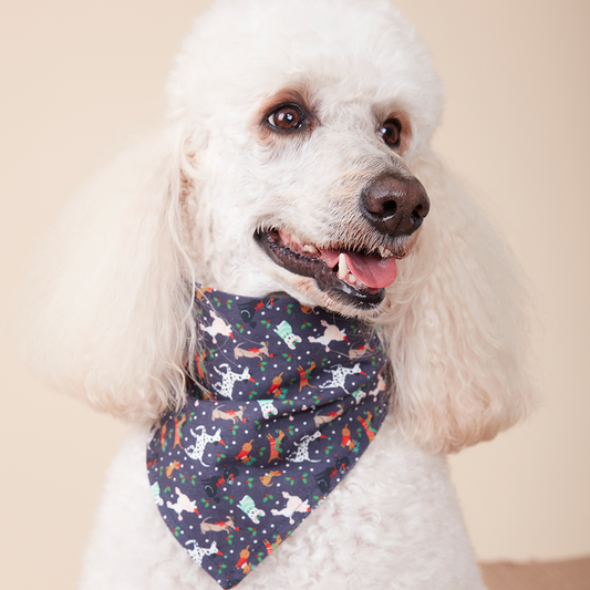 DOG BANDANA - FESTIVE NAVY PRINT