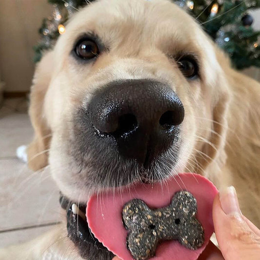 Barking Bakery Doggy Yoghurt Heart Shaped Drops