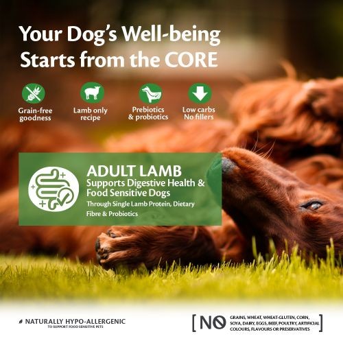 Wellness CORE Adult Lamb Grain Free Dry Dog Food 10kg