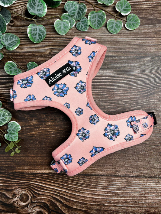 A&C Harness Blooming Blossom Medium
