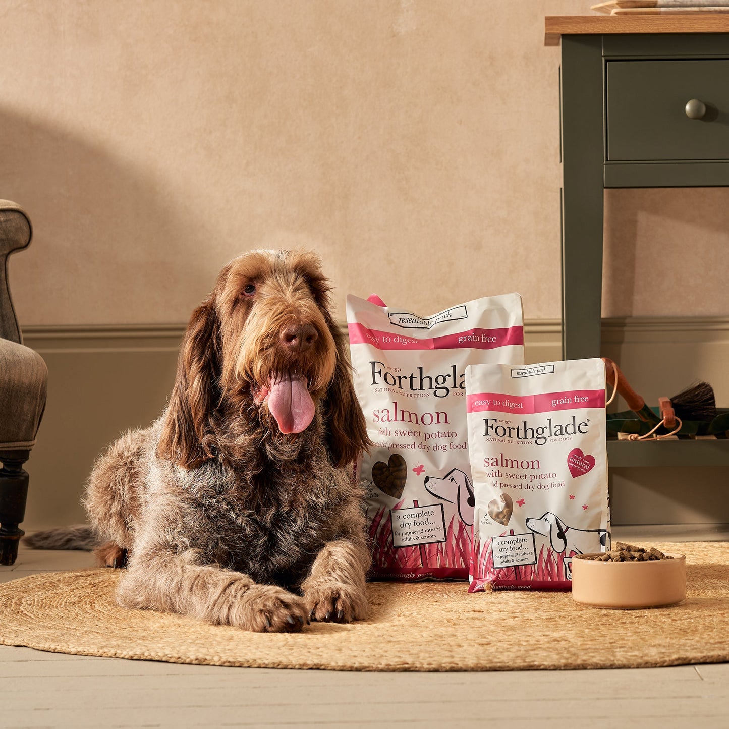 Salmon Grain Free Cold Pressed Natural Dry Dog Food