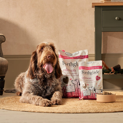 Salmon Grain Free Cold Pressed Natural Dry Dog Food