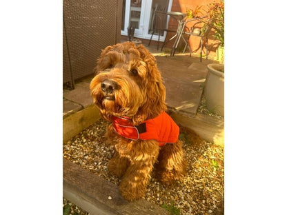 Doodlebone Puffer Jacket Pumpkin & Smoke Size 3-5