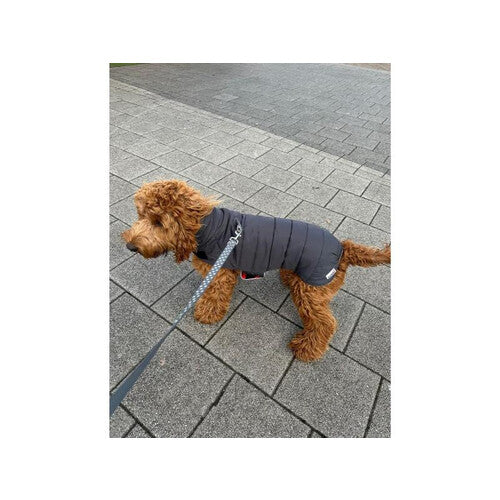 Doodlebone Puffer Jacket Pumpkin & Smoke Size 5-7 Small
