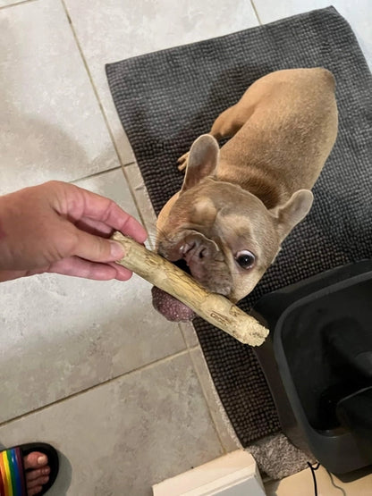 Croc Chomps - 100% Organic and Sustainable Coffee Wood Chews