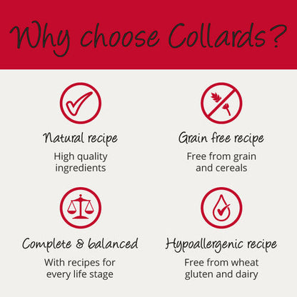 Collards Grain Free Chicken Wet Puppy Food - 7 x 395g Trays