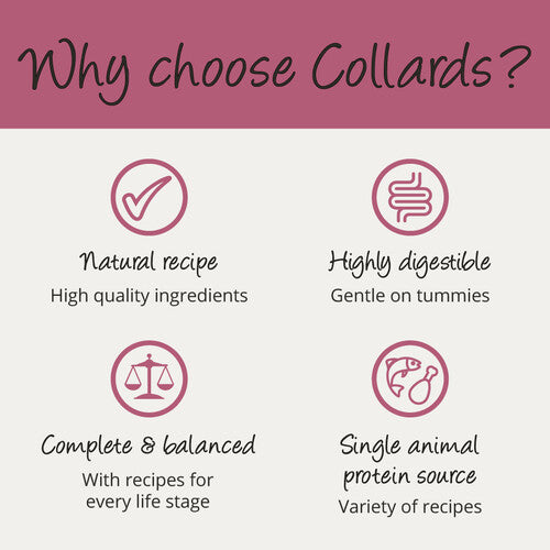 Collards Salmon Senior Wet Dog Food- 7 x 395g Trays