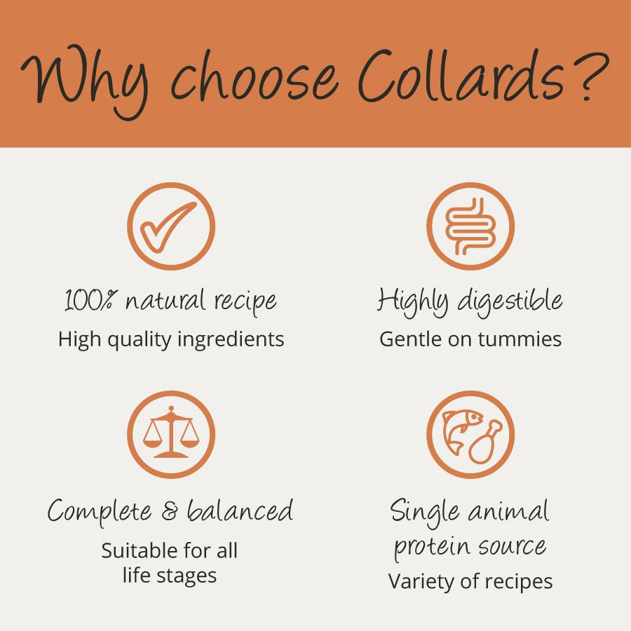Collards Turkey Adult Wet Dog Food - 7 x 395g Trays
