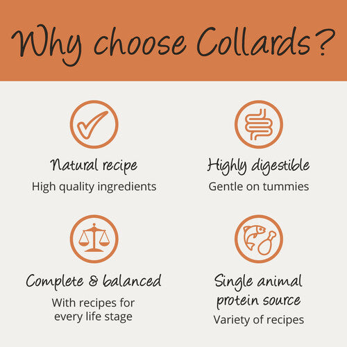 Collards Turkey And Rice Dry Puppy Food - 2kg