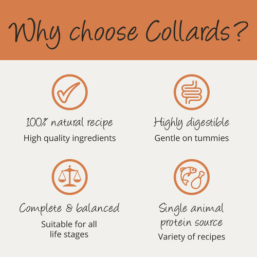 Collards Turkey Adult Wet Dog Food - 7 x 395g Trays